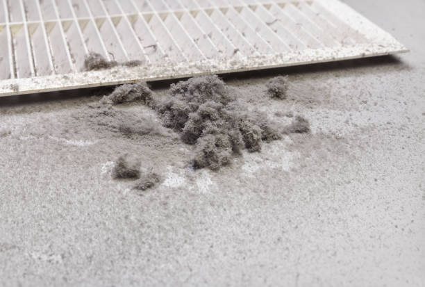 Affordable HVAC Duct Cleaning in CO