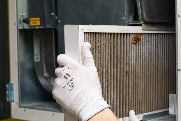 Best Affordable Air Duct Cleaning  in Fountain, CO