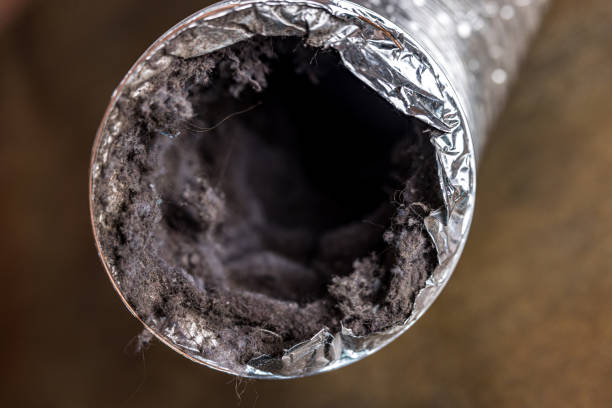 Best Affordable HVAC Duct Cleaning  in Fountain, CO